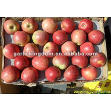 138-198 20kg Qinguan Apple